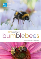 RSPB Spotlight Bumblebees | Richard Comont