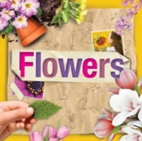 Flowers | Steffi Cavell-Clarke