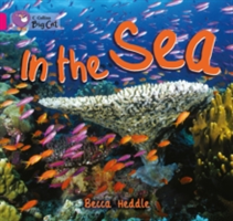 In the Sea | Becca Heddle