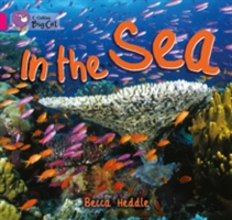 Vezi detalii pentru In the Sea | Becca Heddle