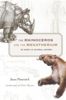 The Rhinoceros and the Megatherium | Juan Pimentel