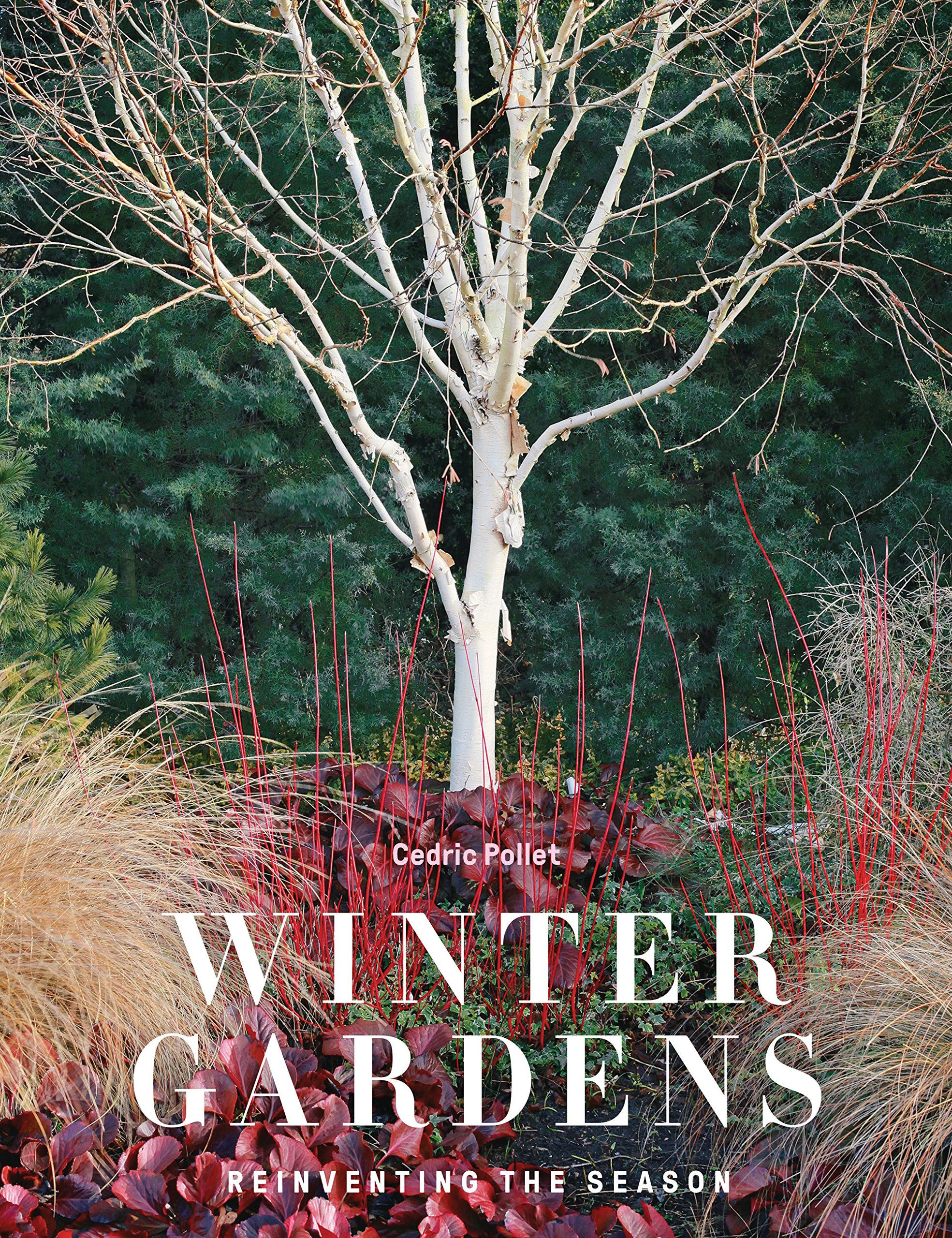 Winter Gardens | Cedric Pollet