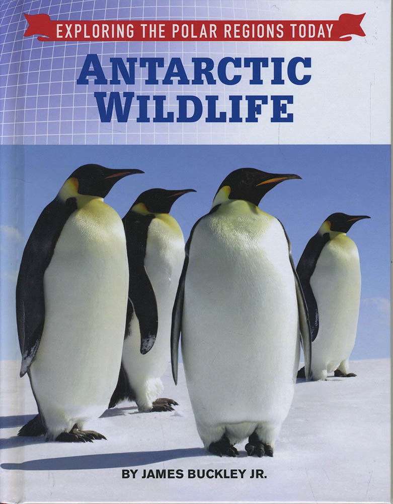 Antarctic Wildlife | Jr James Buckley