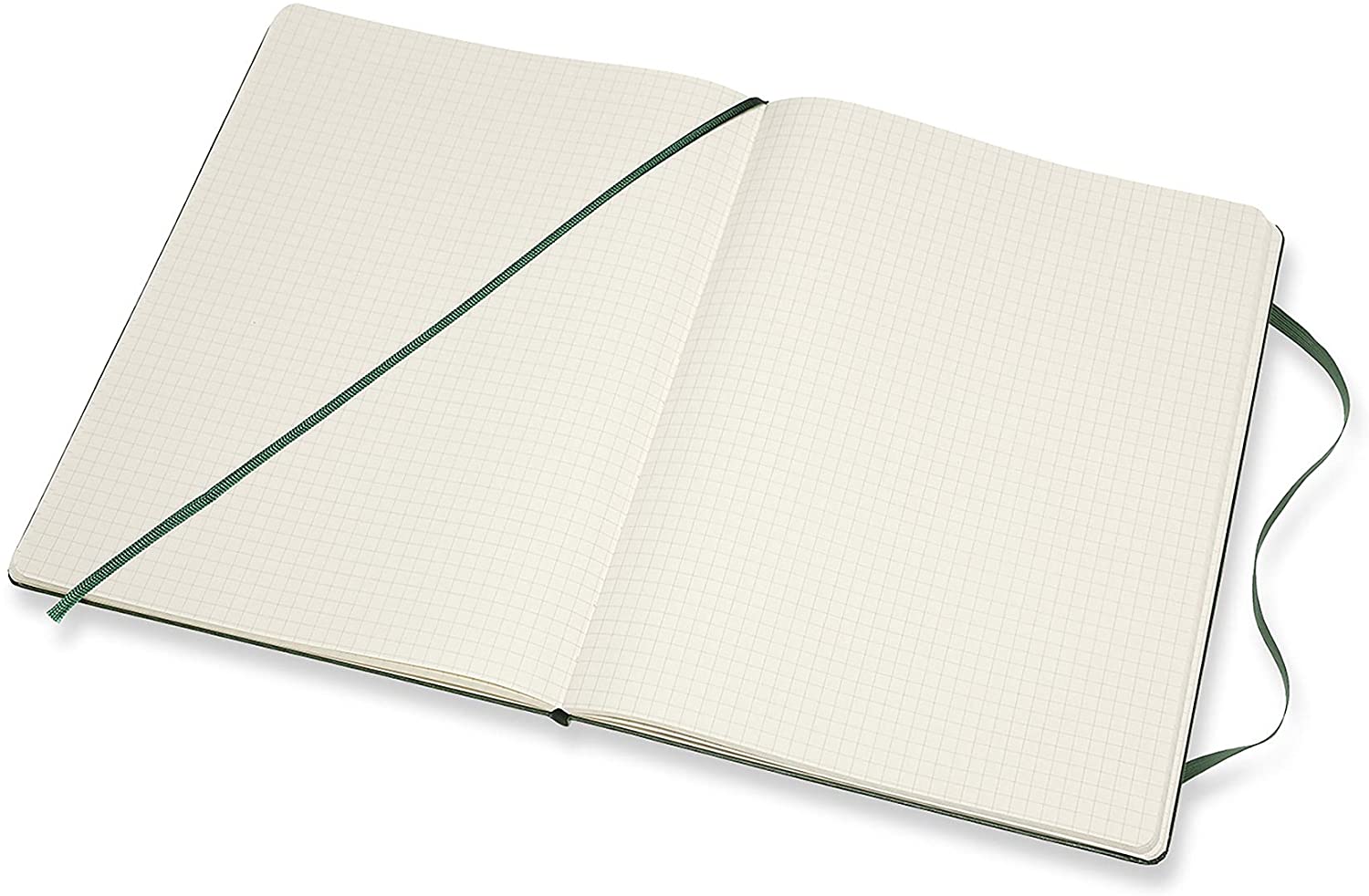 Carnet - Moleskine Classic - X-Large, Hard Cover, Squared - Myrtle Green | Moleskine - 2 | YEO