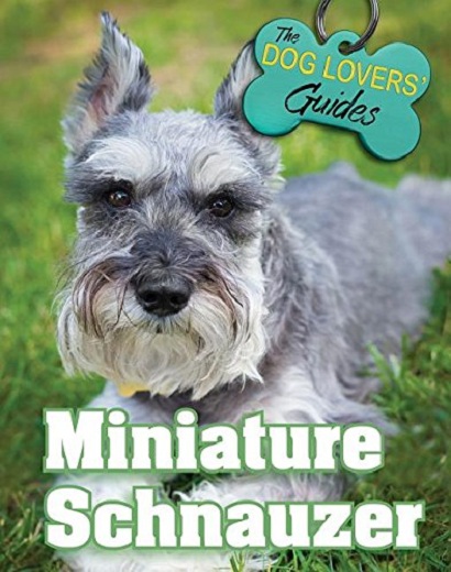 Miniature Schnauzer | Jeanette Wilson