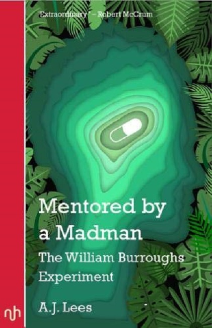 Mentored by a Madman | A J Lees