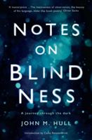 Notes on Blindness | John Hull