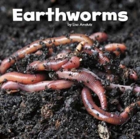 Earthworms | Lisa J. Amstutz