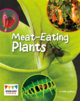 Meat-Eating Plants | Kelly Gaffney