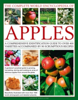 The Complete World Encyclopedia of Apples | Andrew Mikolajski