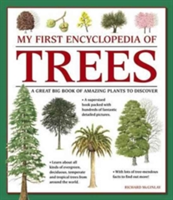 My First Encyclopedia of Trees (Giant Size) | Richard McGinlay