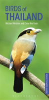 Birds of Thailand | Michael Webster