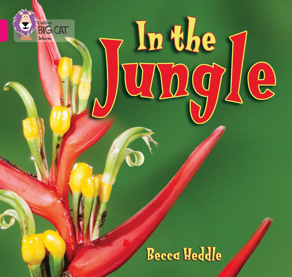 In the Jungle | Becca Heddle