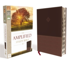 The Amplified Study Bible, Hardcover | Zondervan