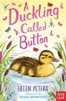A Duckling Called Button | Helen Peters