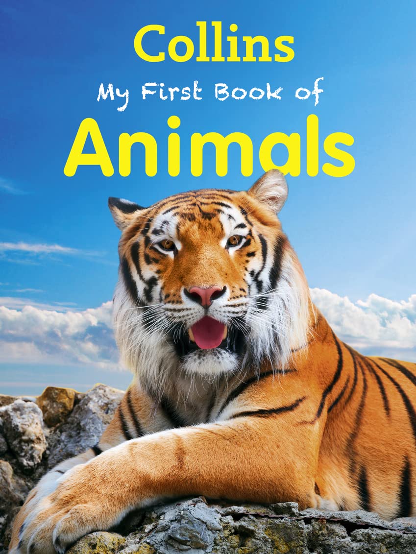 My First Book of Animals | Sally Morgan