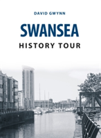 Swansea History Tour | David Gwynn