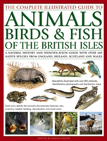 The Complete Illustrated Guide to Animals, Birds & Fish of the British Isles | Daniel Gilpin