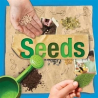 Seeds | Steffi Cavell-Clarke