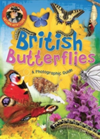 Nature Detective: British Butterflies | Victoria Munson