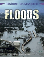 Nature Unleashed: Floods | Louise Spilsbury, Richard Spilsbury