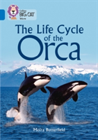 The Life Cycle of the Orca | Moira Butterfield