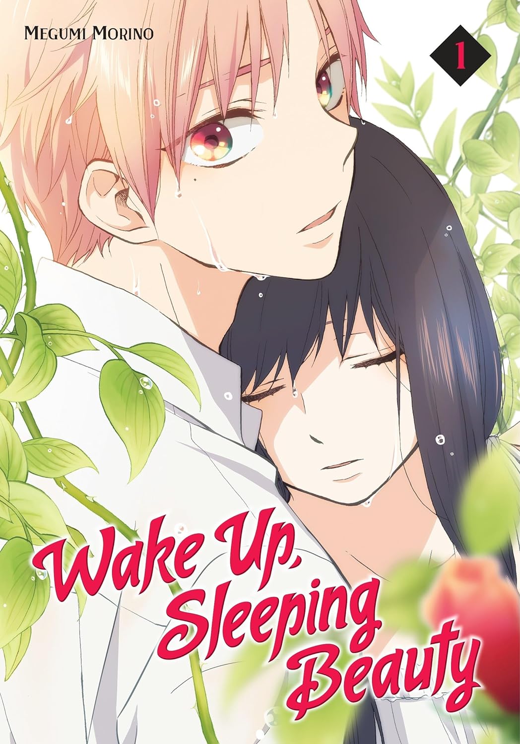 Wake Up, Sleeping Beauty - Volume 1 | Megumi Morino