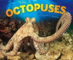 Octopuses | Elizabeth R. Johnson