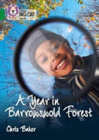 A Year in Barrowswold Forest | Chris Baker