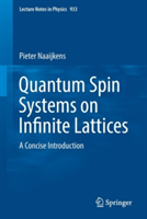 Quantum Spin Systems on Infinite Lattices | Pieter Naaijkens