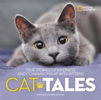 Cat Tales | Aline Alexander Newman
