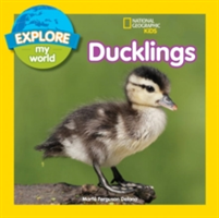 Explore My World: Ducklings | Marfe Ferguson