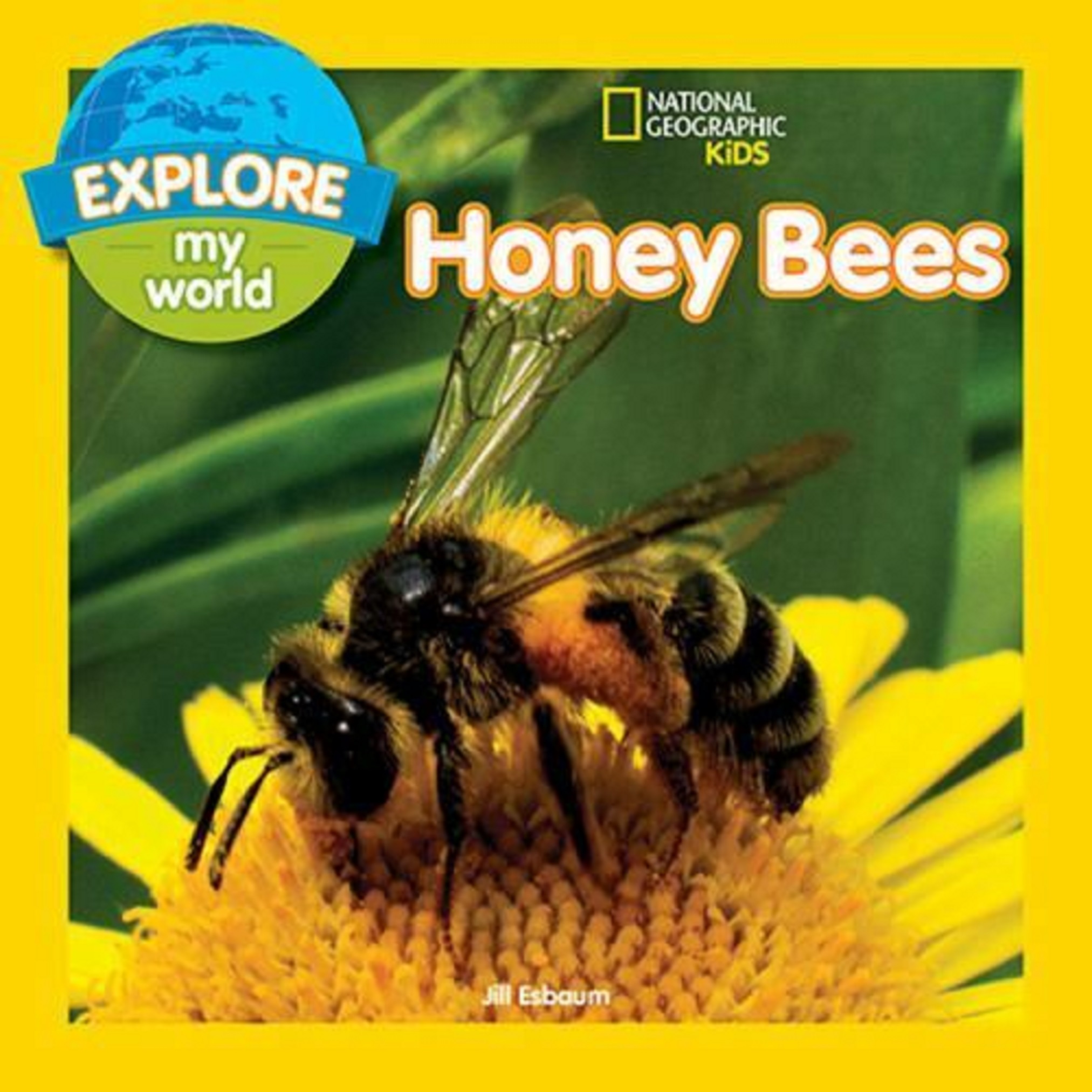 Honey Bees | Jill Esbaum