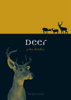 Deer | John Fletcher