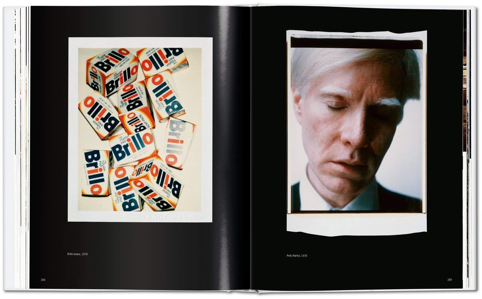 Andy Warhol. Polaroids 1958-1987 | Richard B. Woodard, Reuel Golden, Andy Warhol - 4 | YEO