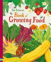 The Usborne Book of Growing Food | Abigail Wheatley