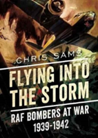 Flying into the Storm | Chris Sams