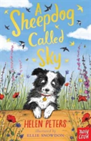 A Sheepdog Called Sky | Helen Peters