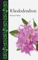 Rhododendron | Richard Milne