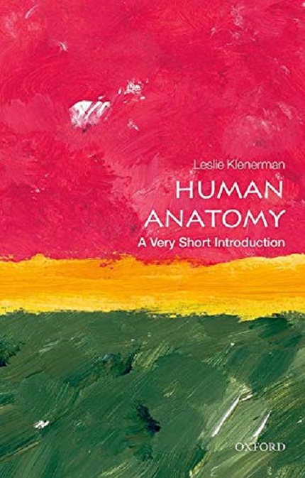 Human Anatomy | Leslie Klenerman