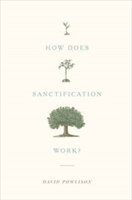 How Does Sanctification Work? | David Powlison