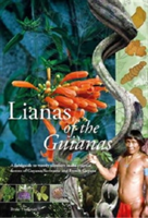 Lianas of the Guianas | Bruce Hoffman