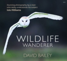 Wildlife Wanderer | David Bailey