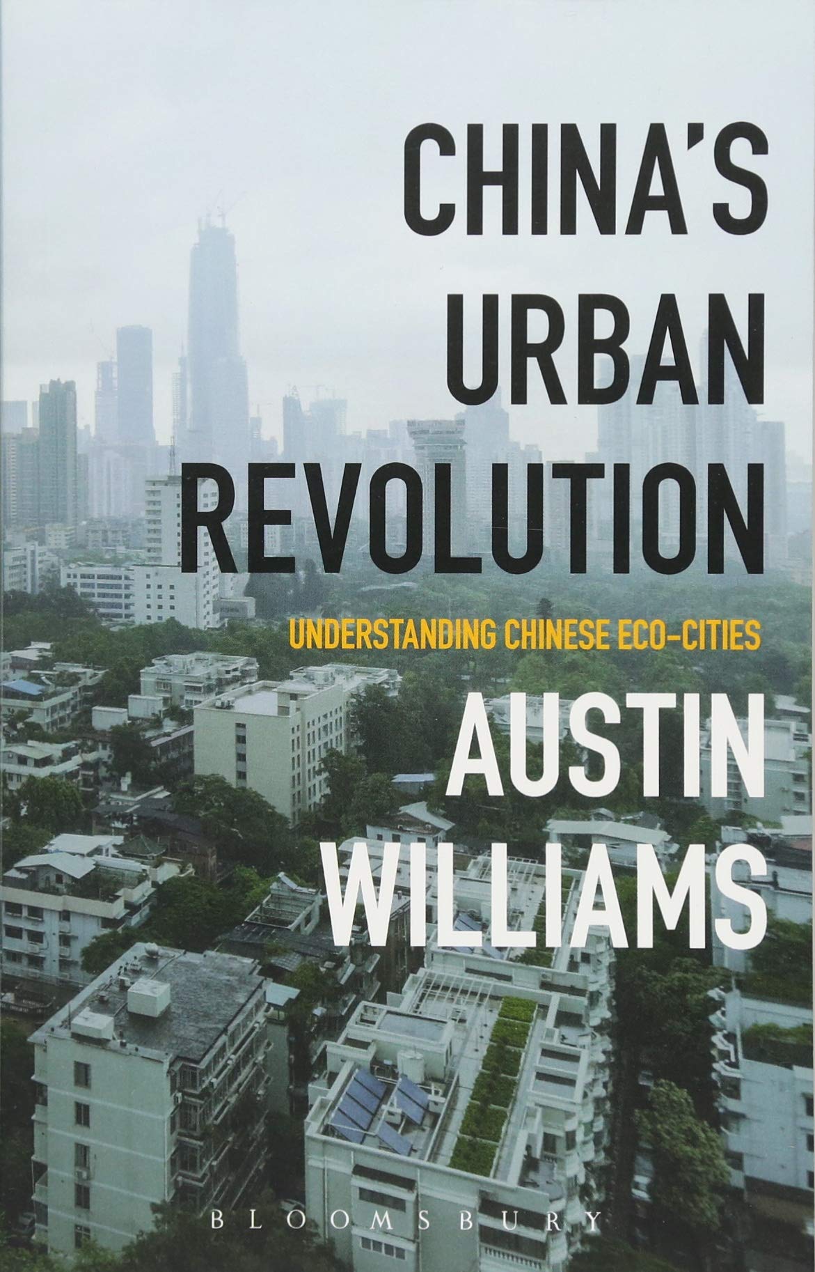 Chinas Urban Revolution | Austin Williams