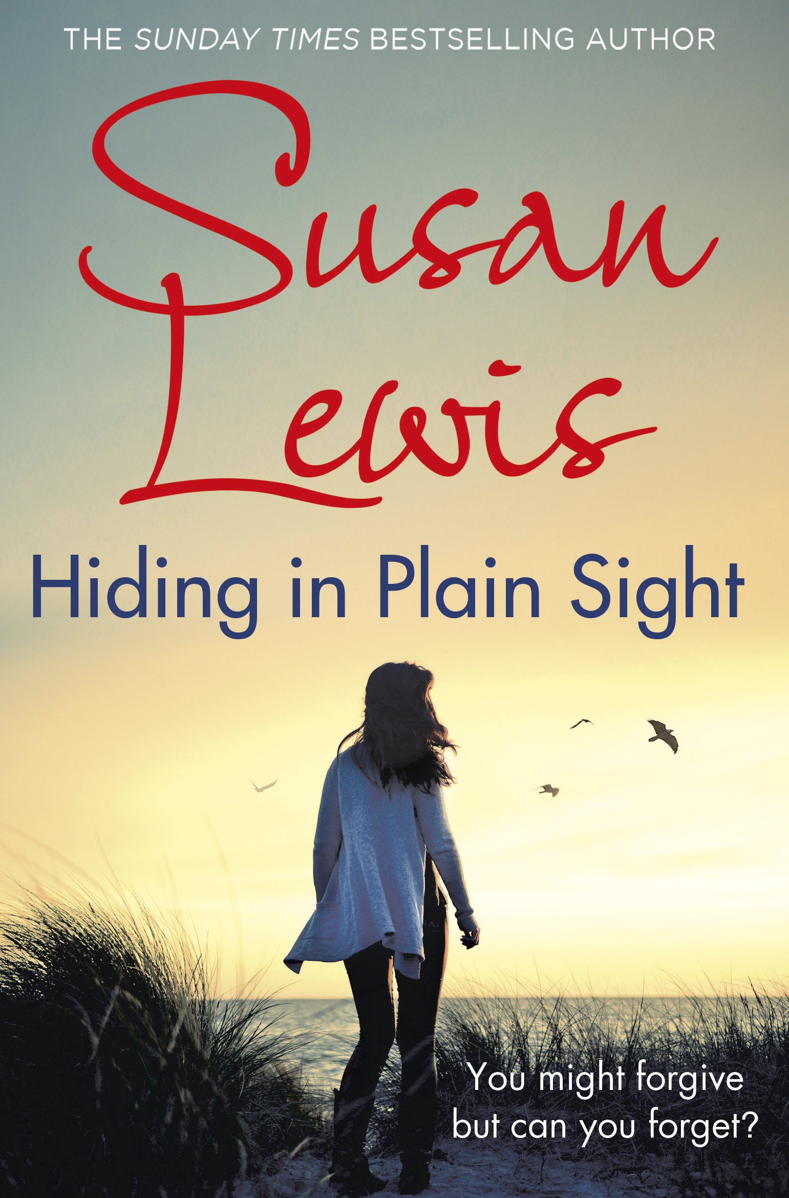 Hiding in Plain Sight | Susan Lewis