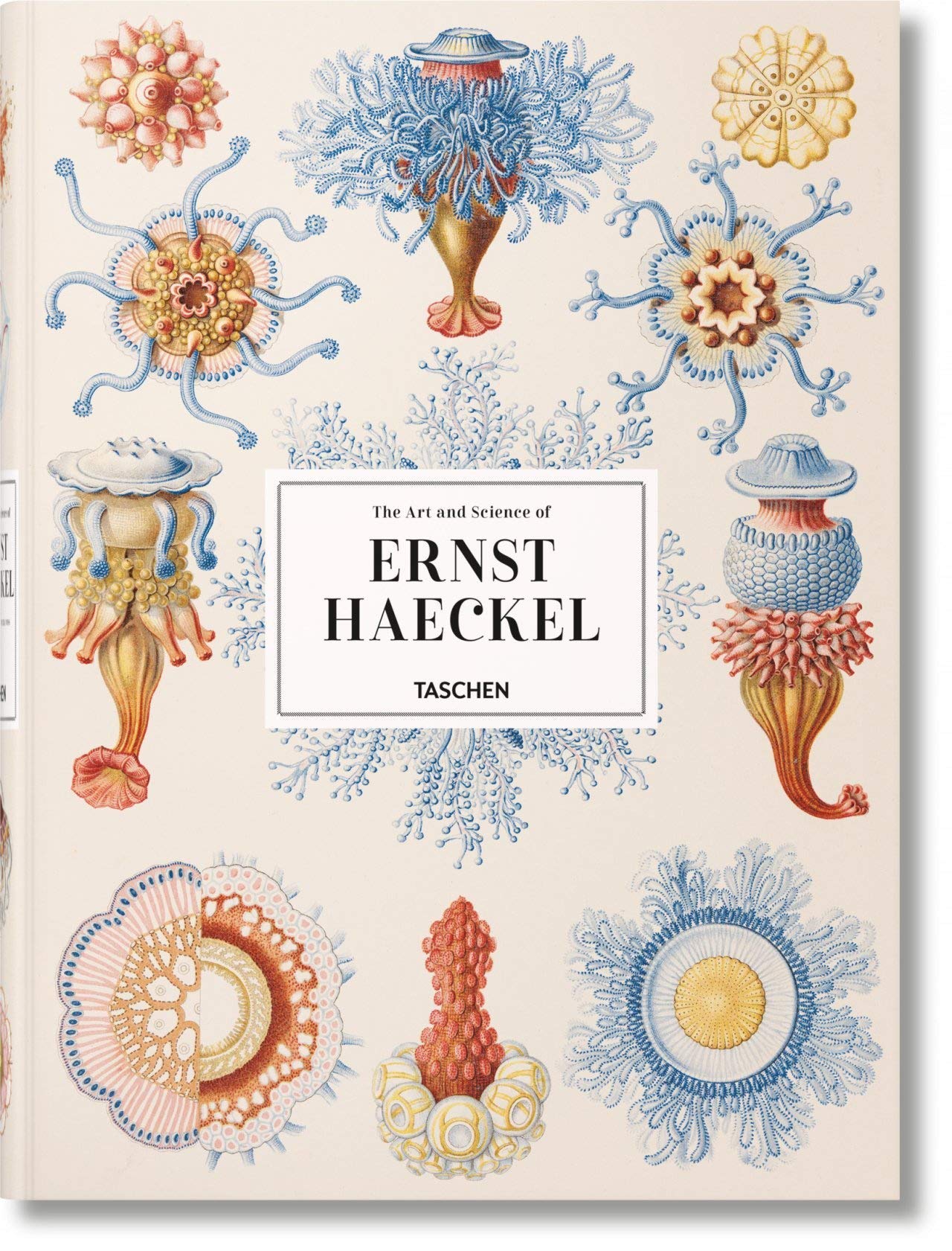 Vezi detalii pentru Ernst Haeckel | TASCHEN