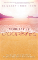 There Are No Goodbyes | Elizabeth Robinson