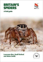 Britain\'s Spiders | Lawrence Bee, Geoff Oxford, Helen Smith