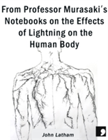 From Professor Murasaki\'s Notebooks on the Effects of Lightning on the Human Body | John Latham