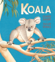 Koala | Claire Saxby